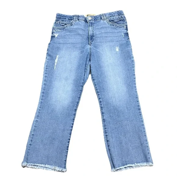 DEMOCRACY “Ab”solution Raw Hem Cropped Jeans 16 High Rise Straight Preppy Coast - Picture 1 of 8